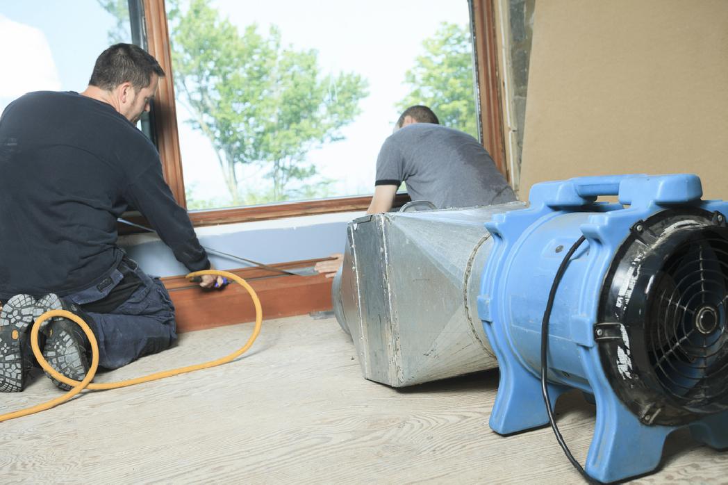 mold and dust removal